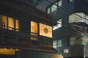 麻豆app官网最新盘点：全服开测必读指南